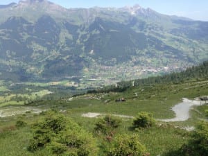 Blick auf Grindelwald